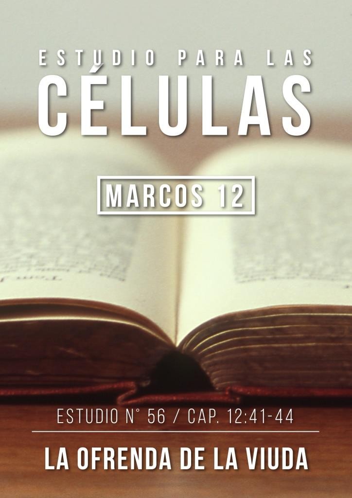 Estudio56 Cap.12:41-44